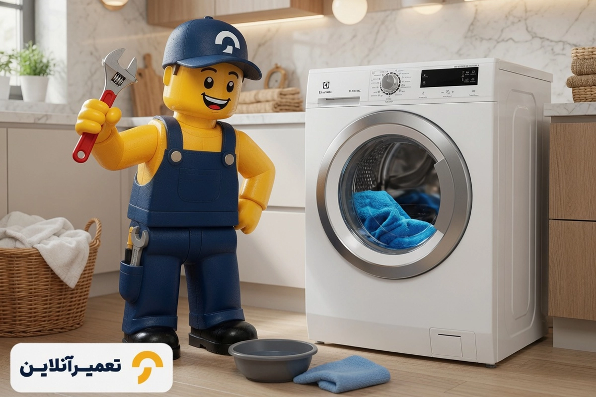 الکترولوکس لباسشویی 2