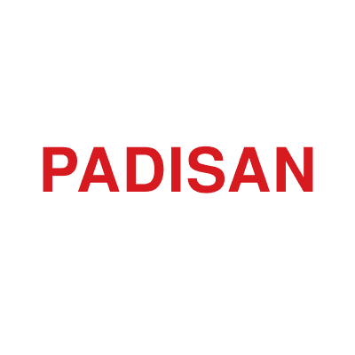 تعمیر پادیسان