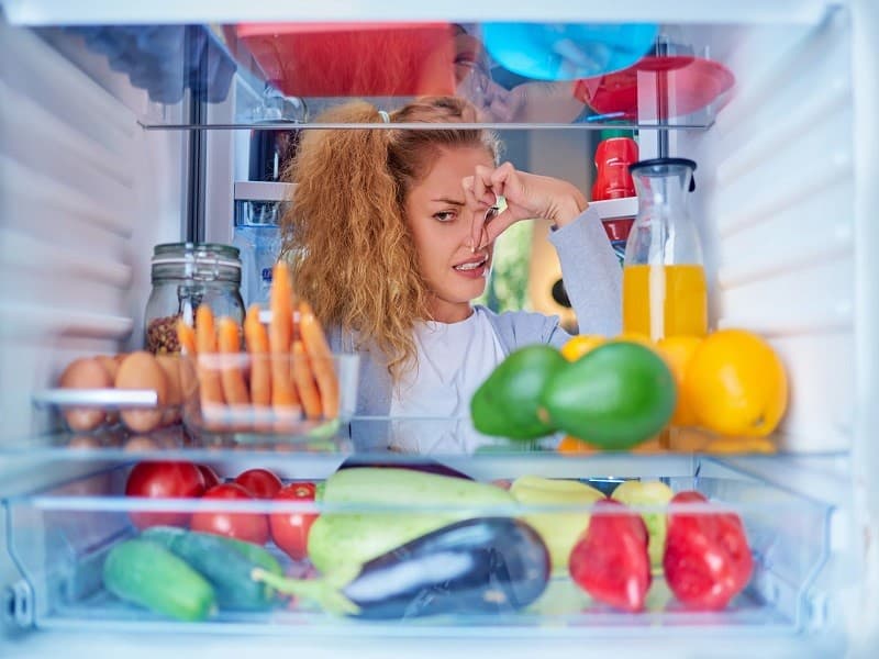چگونه بوی بد یخچال را از بین ببریم؟