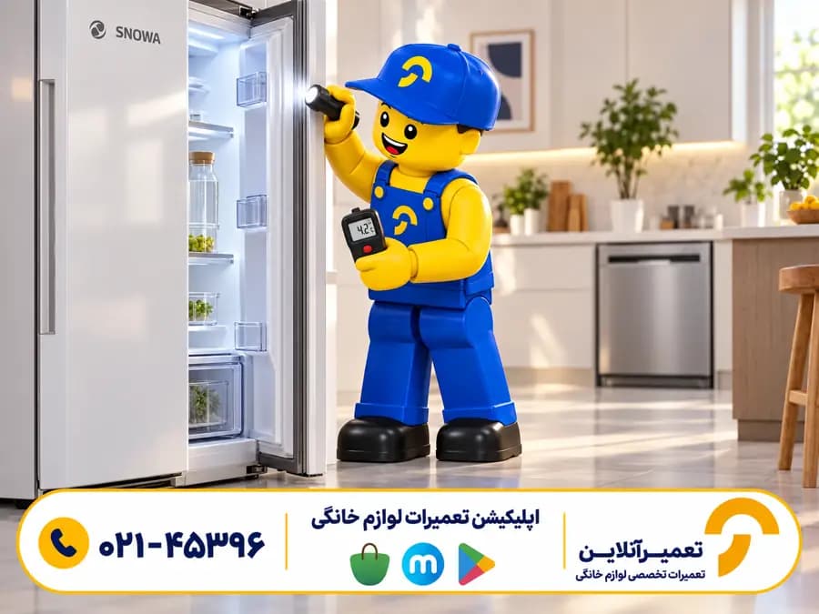 بررسی دستگاه اسنوا