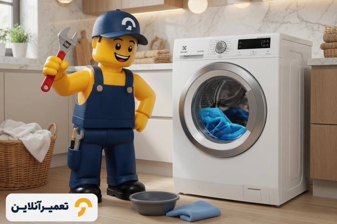 الکترولوکس لباسشویی 2
